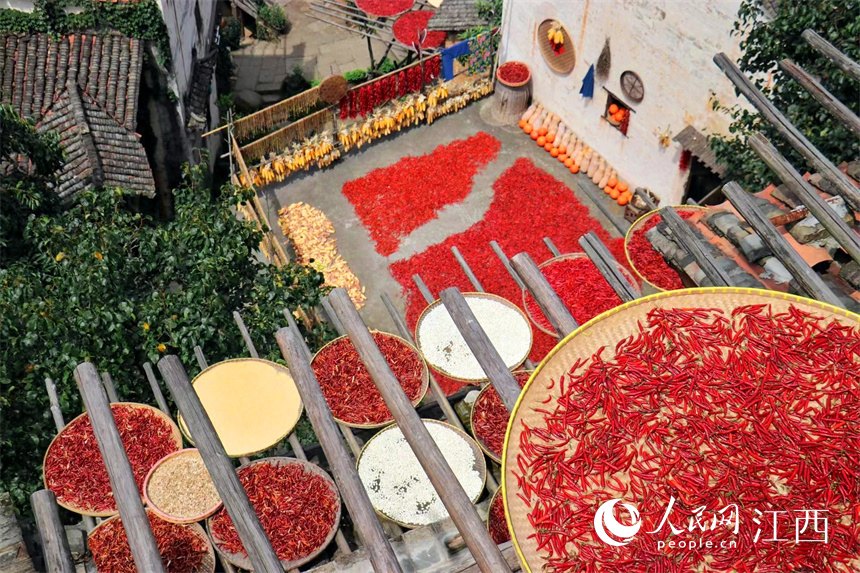 Villagers dry crops in the sun in Wuyuan, E China's Jiangxi