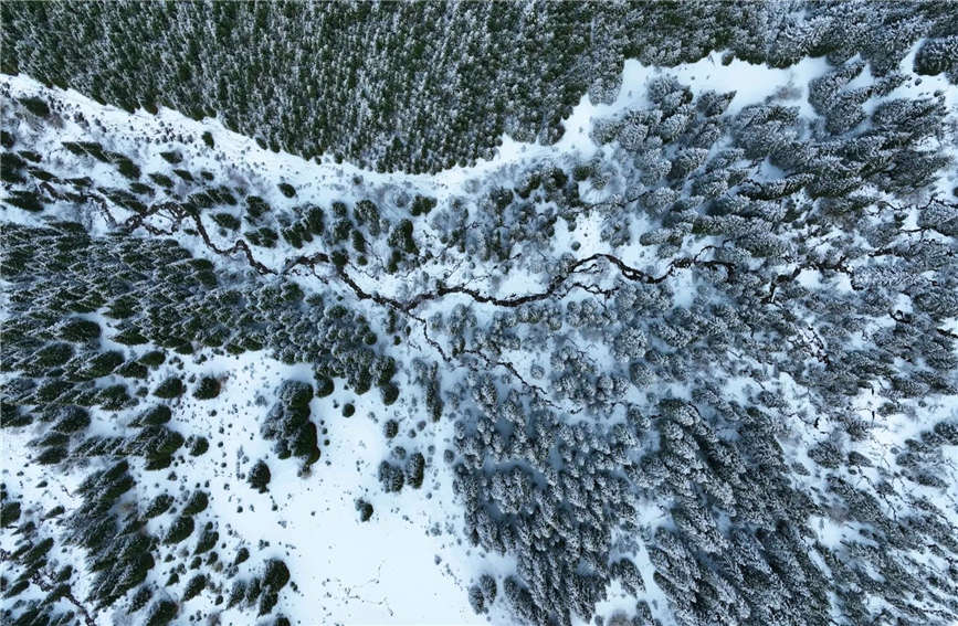 Snow turns village in China's Xinjiang into 