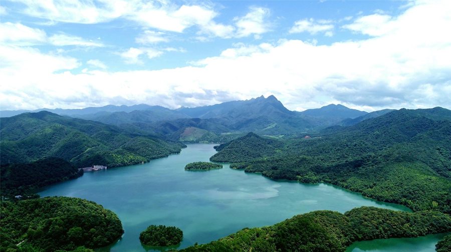 Three more cities in S China's Guangdong designated 'national forest cities'