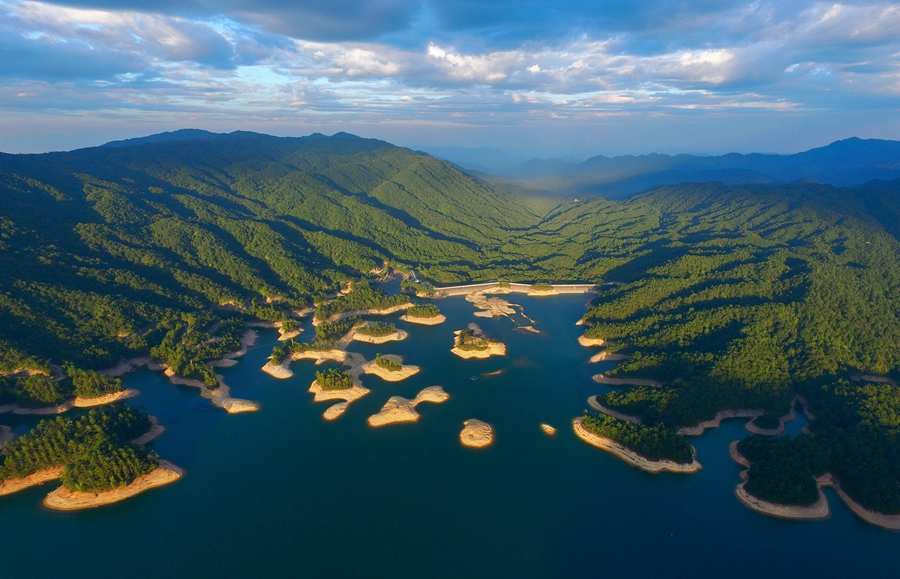 Three more cities in S China's Guangdong designated 'national forest cities'