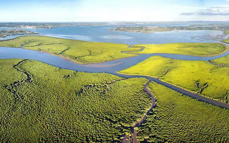 Jiangdong New Area in Haikou, S China's Hainan highlights green development