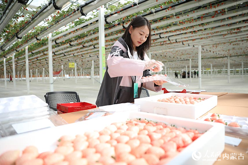 Visitors flock to pick 