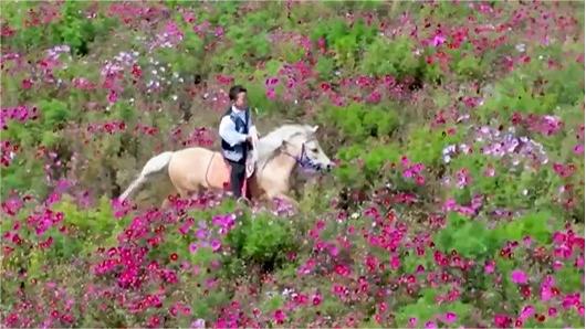Boy rides through flower field