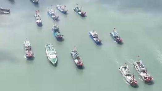A sea of trawlers