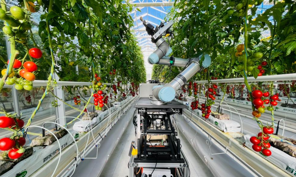 Chinese scientists develop world's first full-process intelligent breeding robot