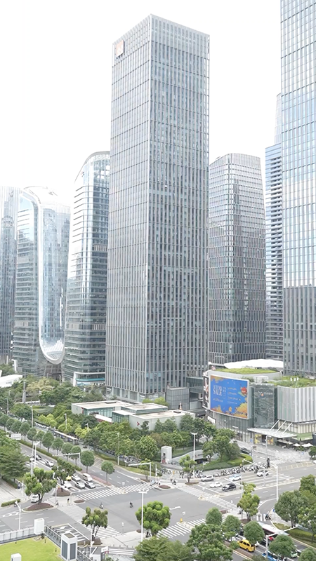 Shenzhen in the eyes of foreigners: A tech hub reinventing itself every day