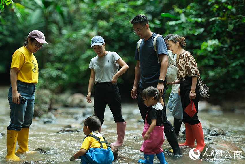 Rainforest hiking boosts economy in township in SW China's Yunnan