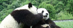 World Natural Heritage Sites