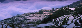 Hani terraces named UNESCO world heritage