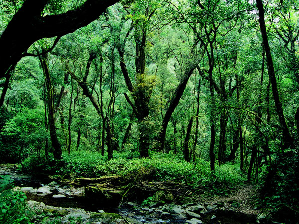 Wonderful Pu'er with rich natural resources