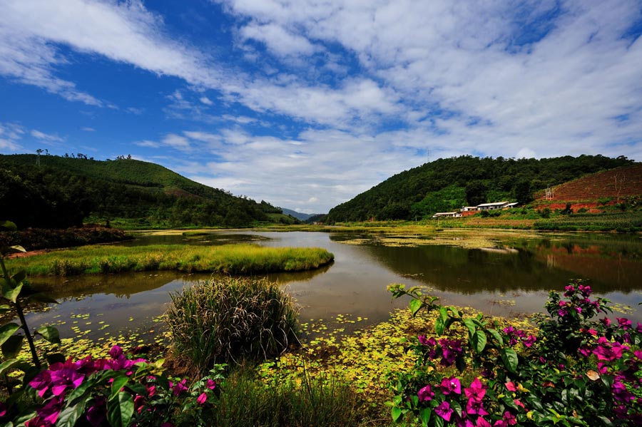 Green Pu'er, a city with an ecological garden