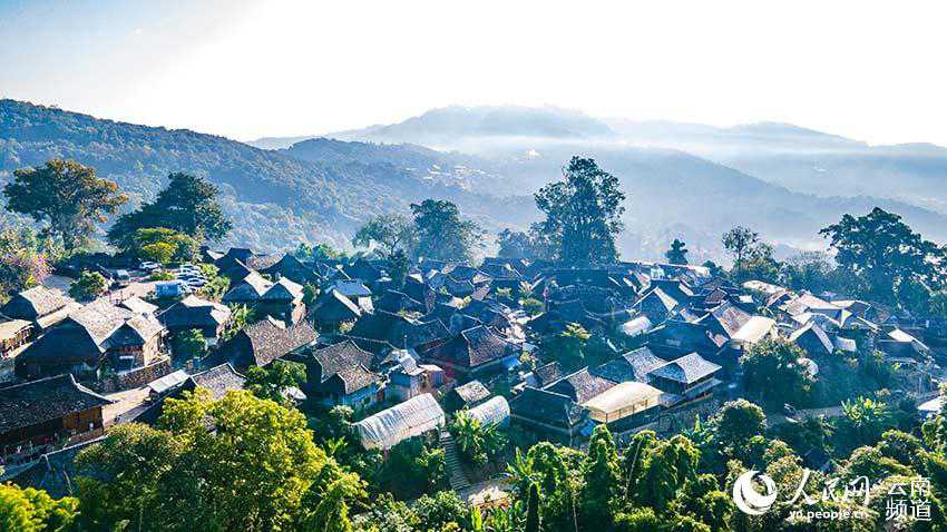 景邁山古茶林中的少數(shù)民族傳統(tǒng)村落。人民網(wǎng) 虎遵會(huì)攝