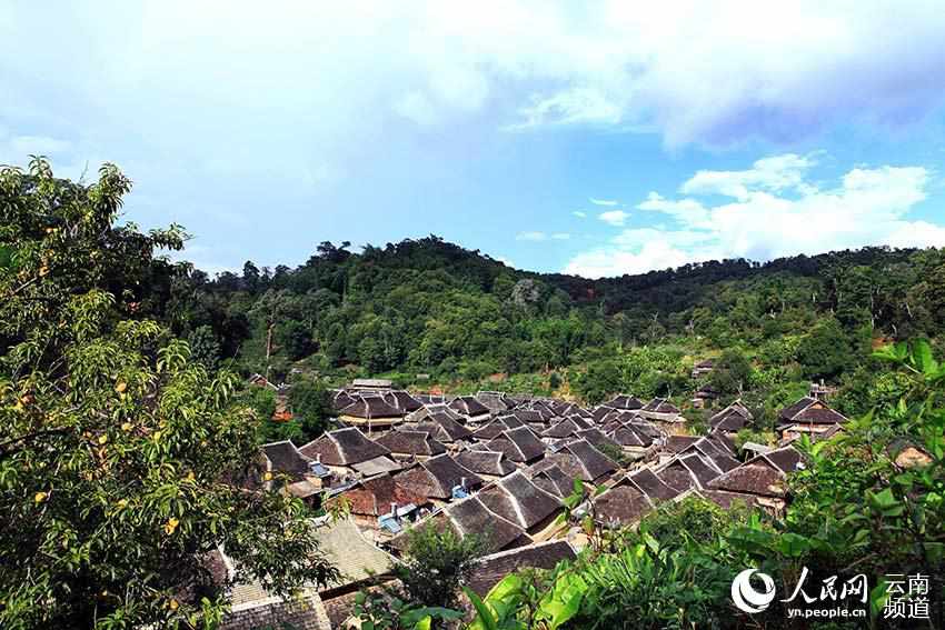 景邁山古茶林中的少數(shù)民族傳統(tǒng)村落。普洱市委宣傳部供圖
