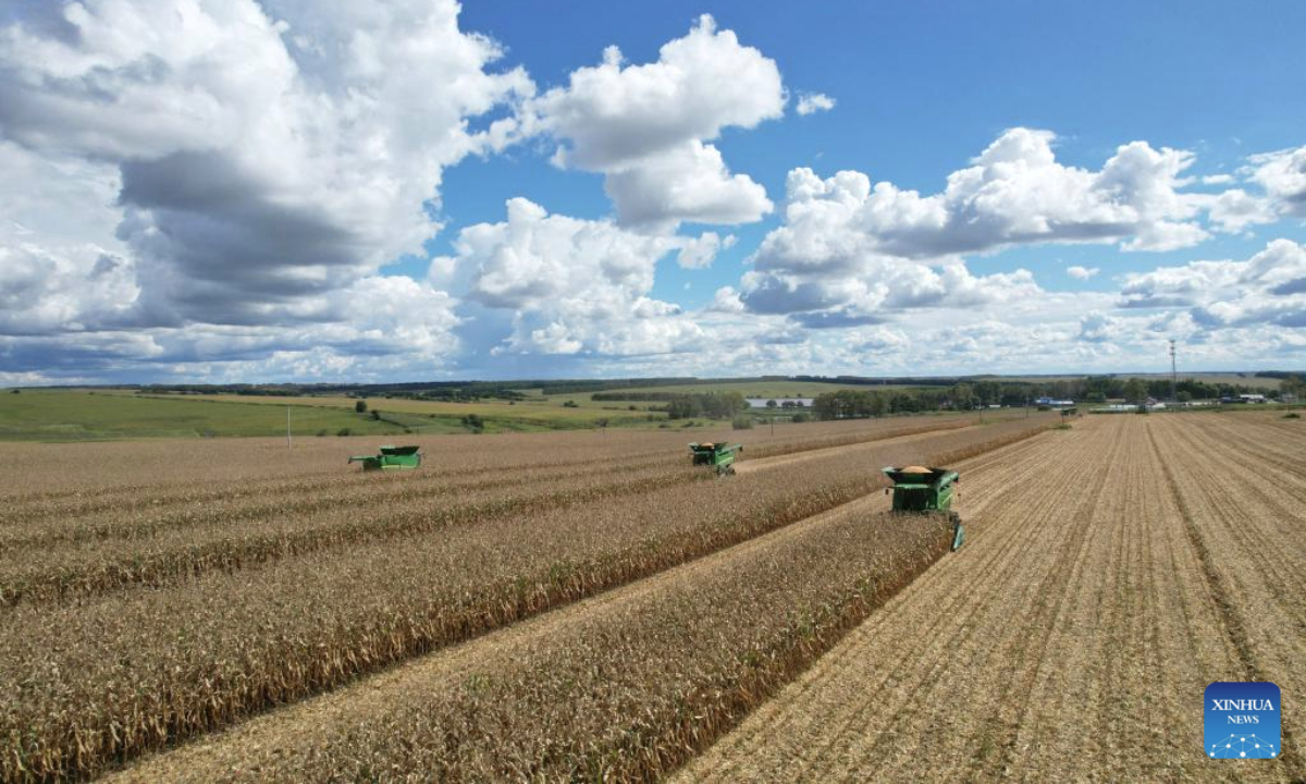 A drone photo shows harvesters working in a farm under Beidahuang Group in northeast China's Heilongjiang Province, Sept. 10, 2025. (Photo by Xu Yingxian/Xinhua)