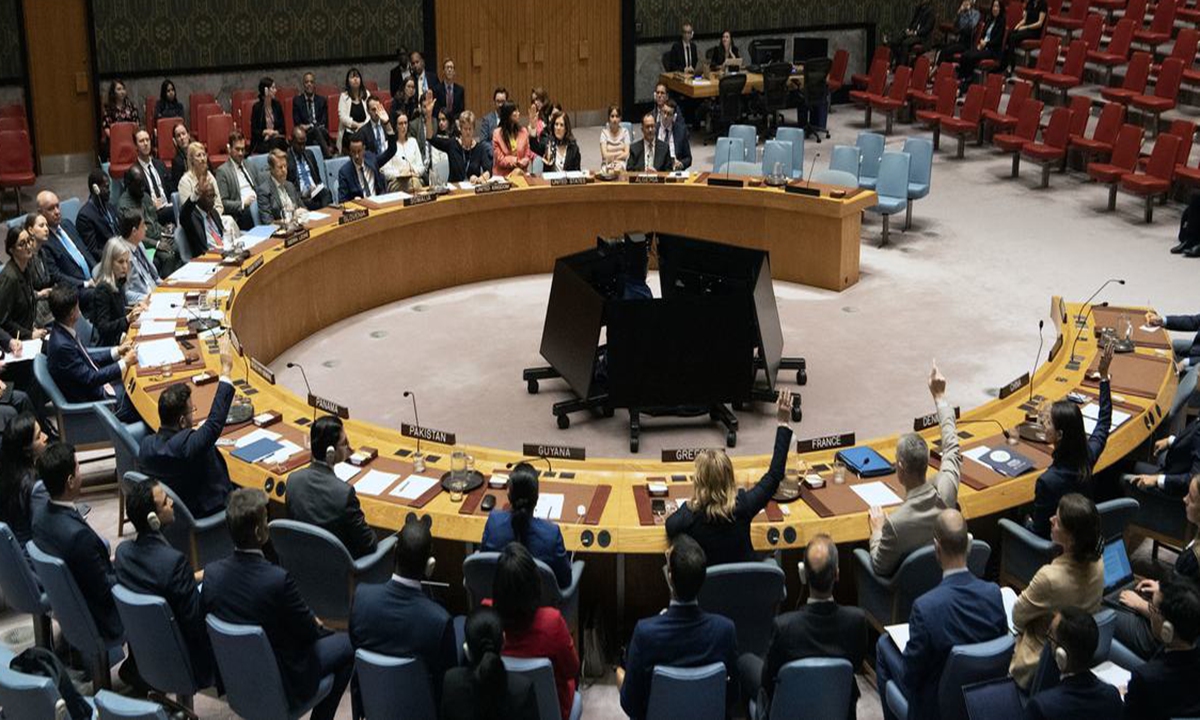 A wide view of the UN Security Council as members vote on a draft resolution. Photo: UN